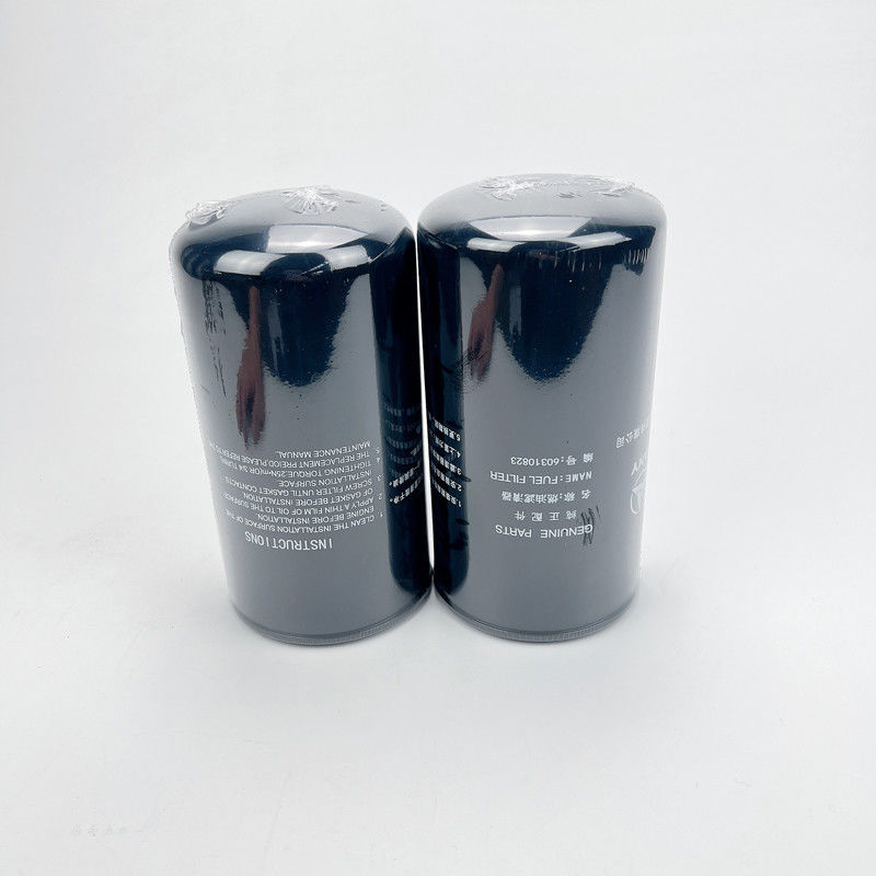 Kraftstofffilter mit hohem Wirkungsgrad Motorfilter 60310823 für Sany